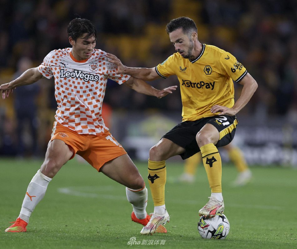 场的表现可 场的表现可